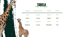 Load image into Gallery viewer, Apresentação de Animal em Powerpoint