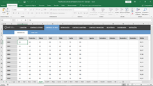 Load image into Gallery viewer, Planilha de Controle de Rebanho Ovino em Excel 4.0
